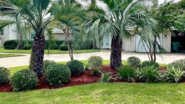 Valerio's Landscaping