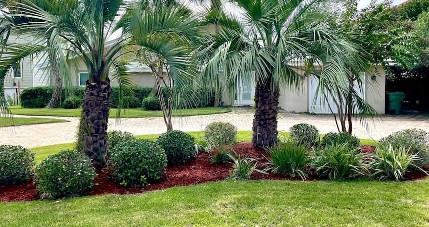 Valerio's Landscaping